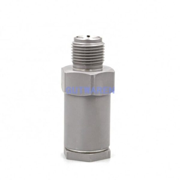 Diesel Pressure limiting valve pressure relief valve 1110010035 for common rail pump - 图片 2