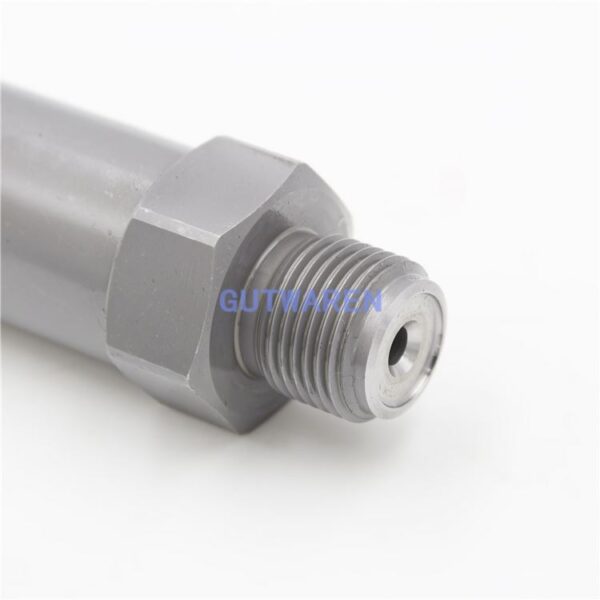 Diesel Pressure limiting valve pressure relief valve 1110010021 for common rail pump - 图片 4