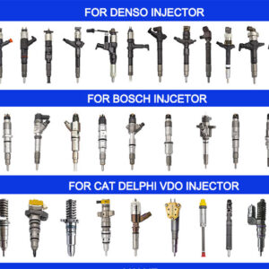 BDLL150S6310 Diesel Fuel Injector